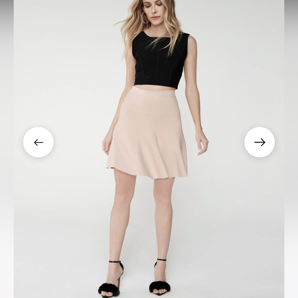 Bcbgmaxazria Ingrid A-Line Skirt